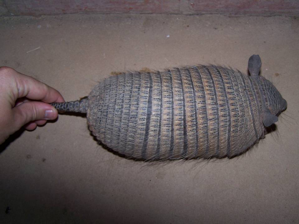 FIGURE 3 FIGURE 3